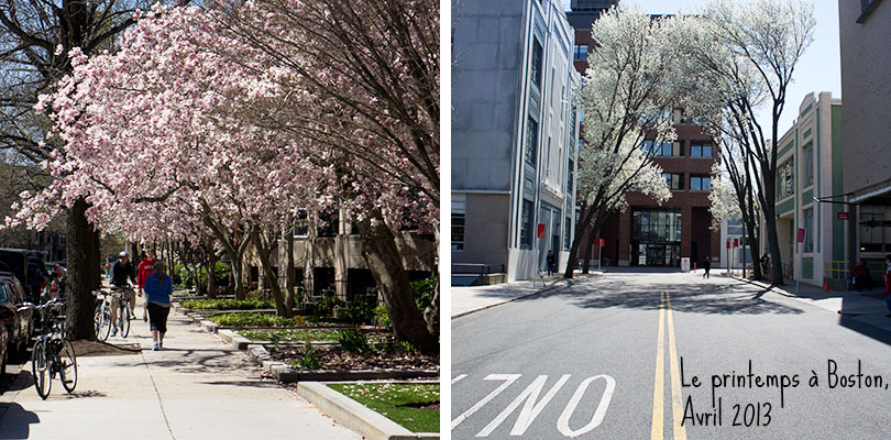 Le printemps à Boston