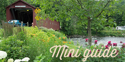 mini guide connecticut