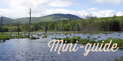 mini guide du new hampshire