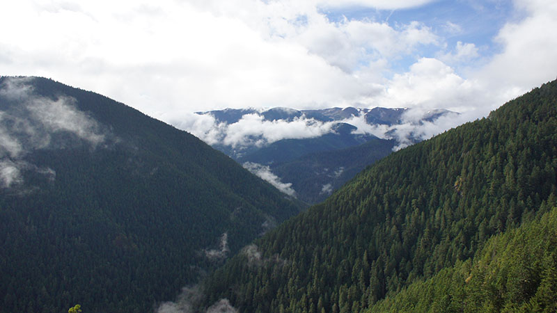 Hurricane Ridge - Olympic National Park 4