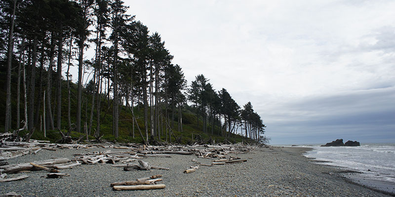 Ruby Beach - Olympic National Park 3