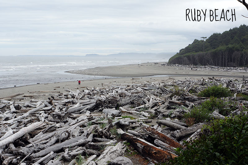 Ruby Beach - Olympic National Park 4