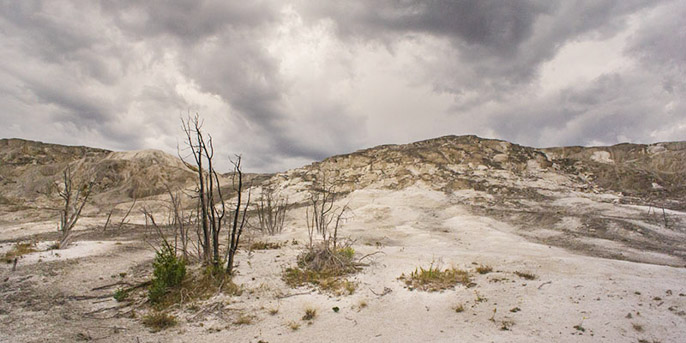 Mammoth - Yellowstone