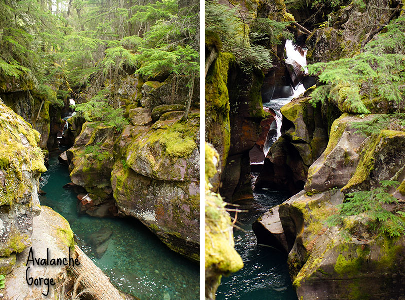 avalanche gorge - Glacier National Park