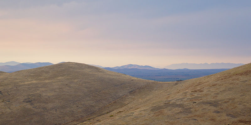 Bison Range Montana 6