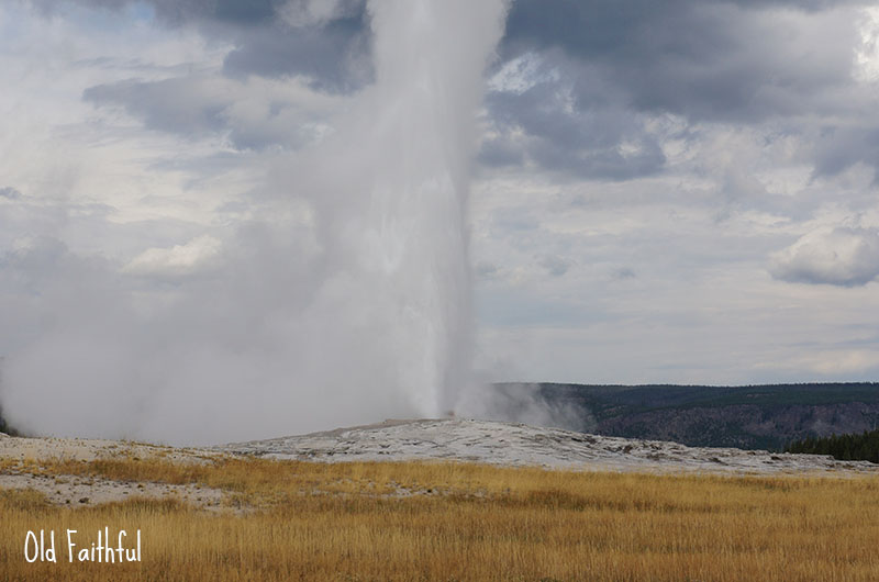 Old Faithful, Yellowstone National Park