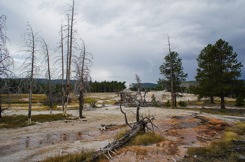 Yellowstone National Park