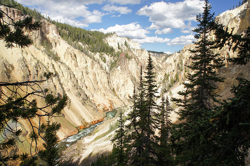 Le grand canyon de Yellowstone