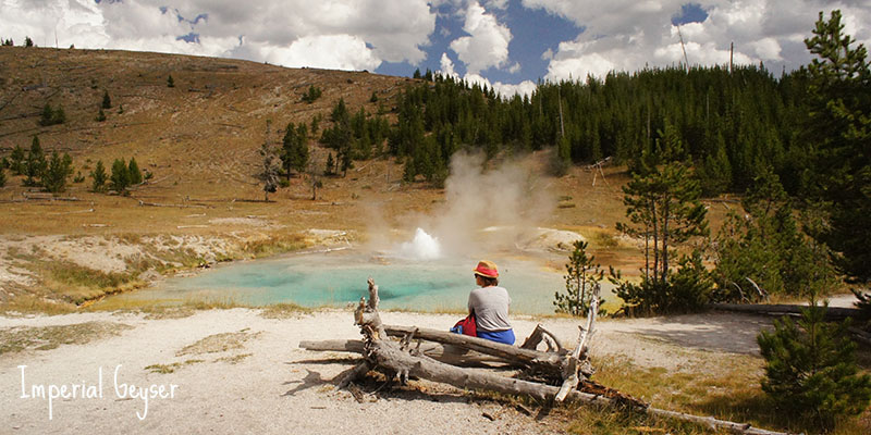 Imperial Geyser - Yellowstone National Park