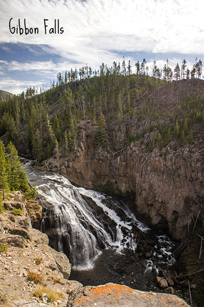 Gibbon Falls - Yellowstone National Park