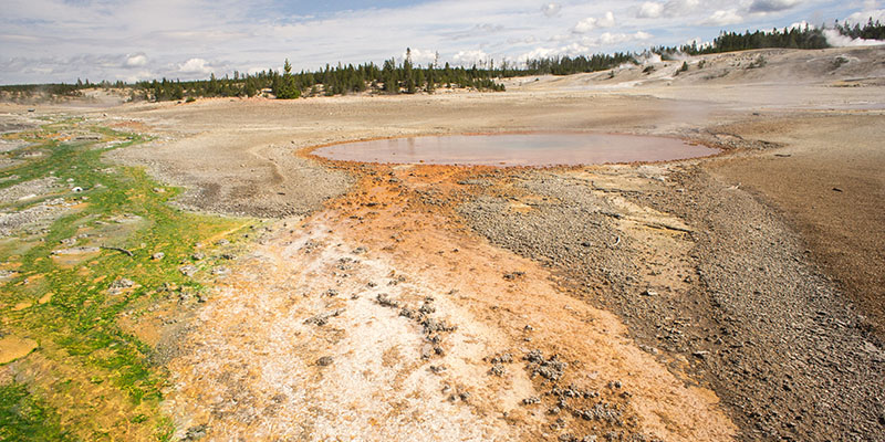 Norris Geyser Basin - Yellowstone National Park 1