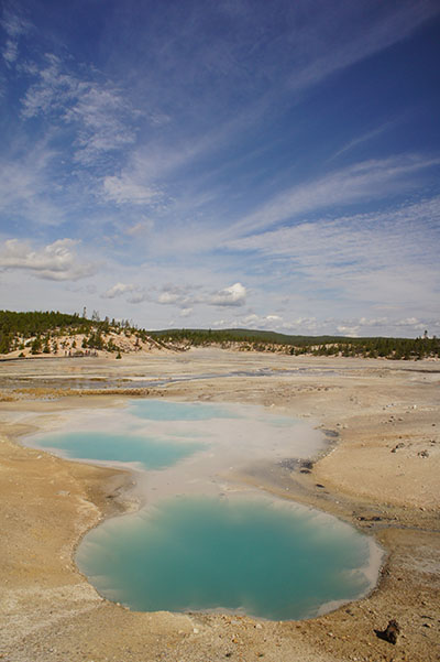 Norris Geyser Basin - Yellowstone National Park - pool