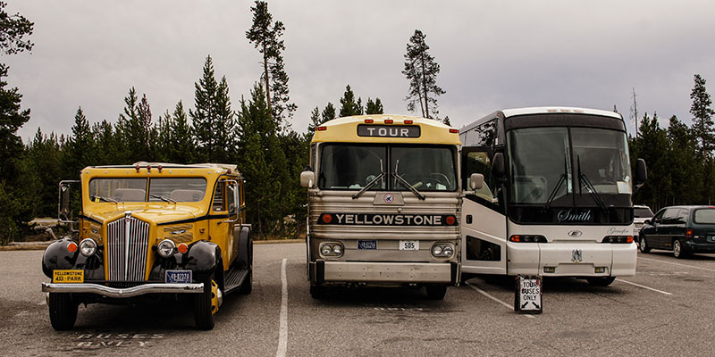 Bus - Yellowstone National Park