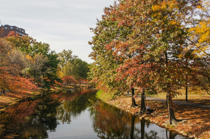 L'automne à Boston - l'été indien