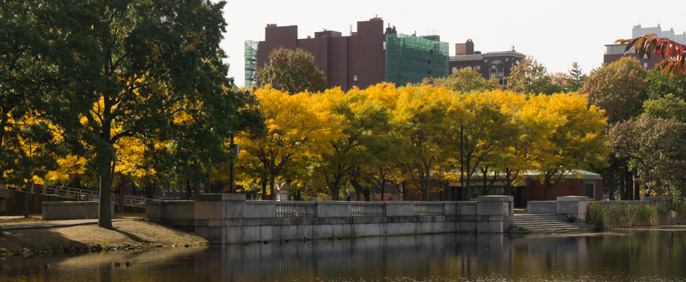 L'automne à Boston - l'été indien 2