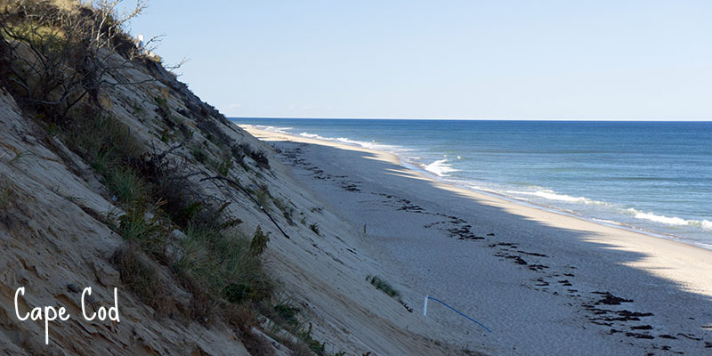 Cape Cod Beach