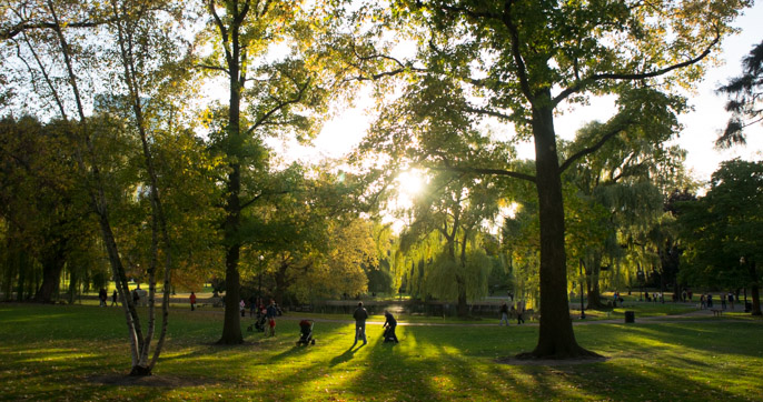 L'automne à Boston - l'été indien - sunset