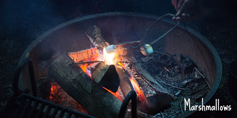 Marshmallows camping