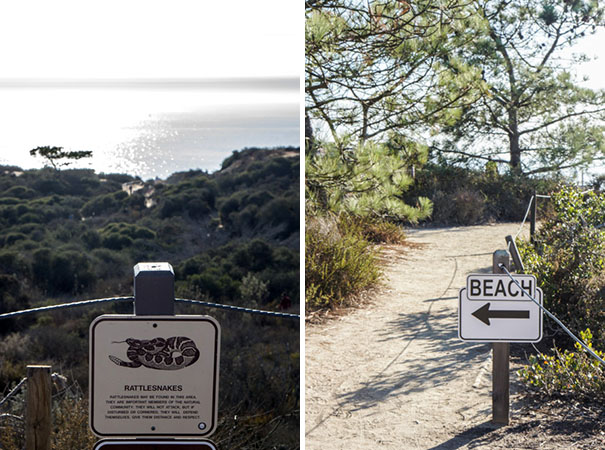 Torrey Pines State Reserve - San Diego, Del Mar, Californie