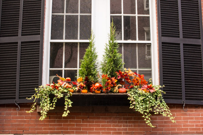 Balcon - Beacon Hill, Boston 6