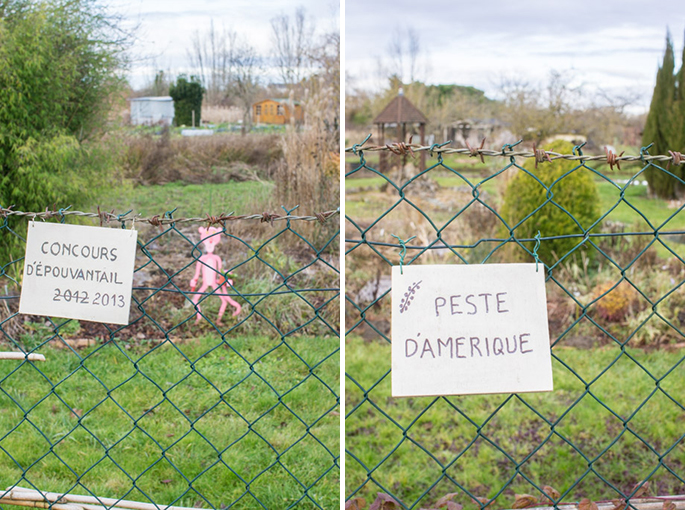 Marais Bourges 5