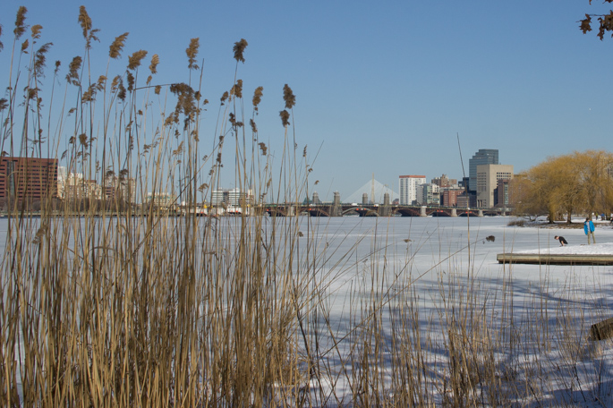 boston La Charles River 1