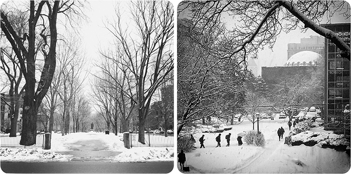 La neige à Boston - Commonwealth Avenue et Boston University