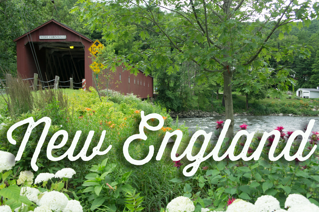 Video // Everglades tour Le blog USA de Mathilde