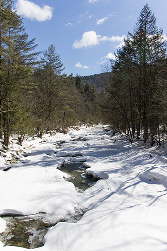 Berkshires - rivière gelée