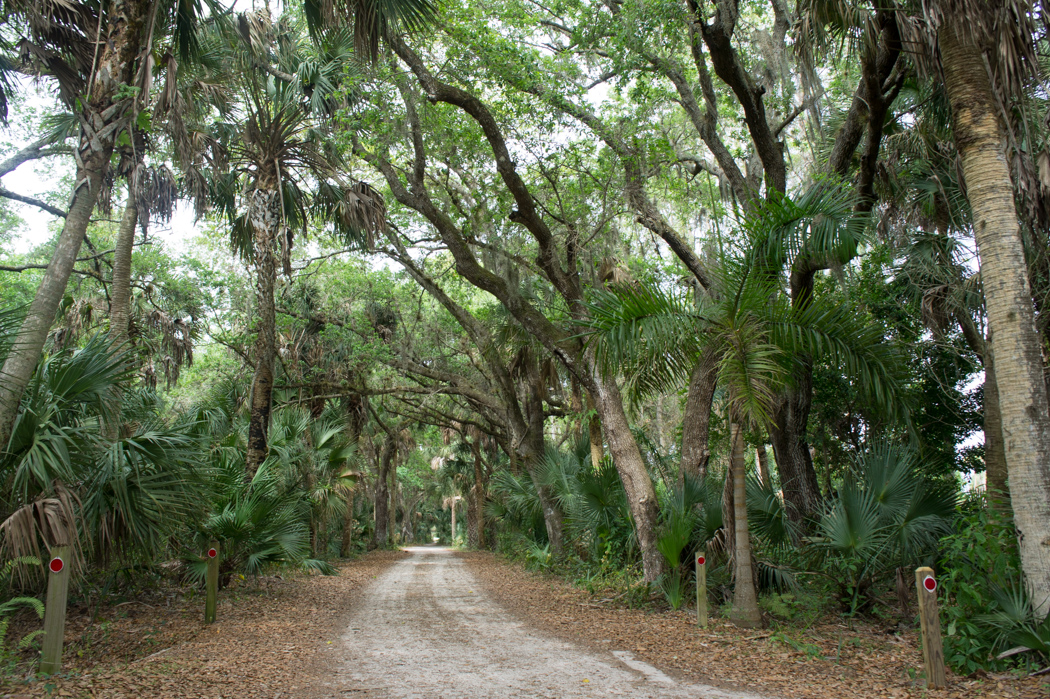 Koreshan state historic park - Floride - chemin