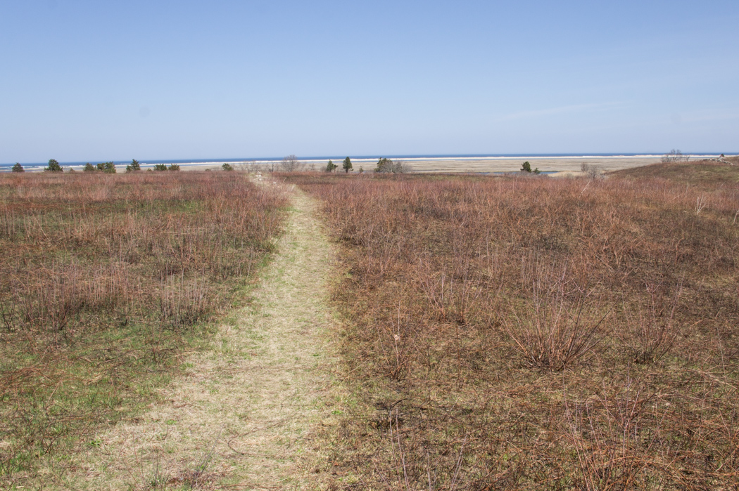 Fort Hill Trail - se promener au Cape Cod 1