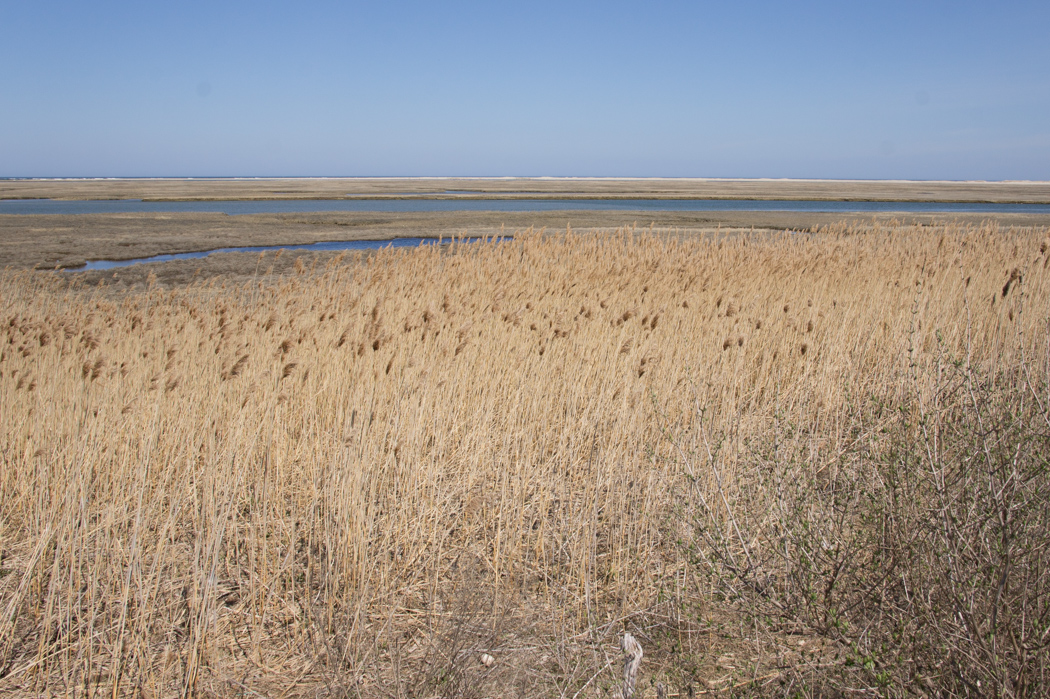 Fort Hill Trail - se promener au Cape Cod