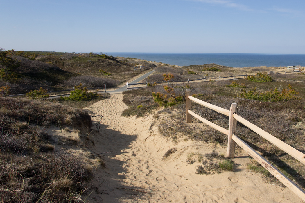 A la plage, visiter le cape cod