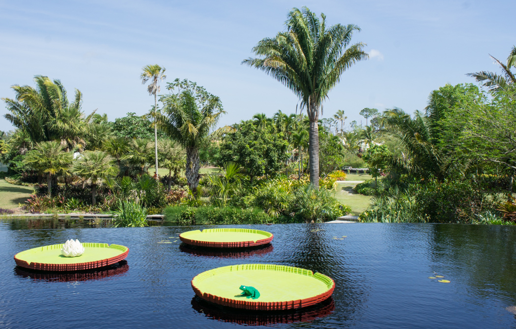 Naples Botanical Garden - exposition avec des lego - nenuphar