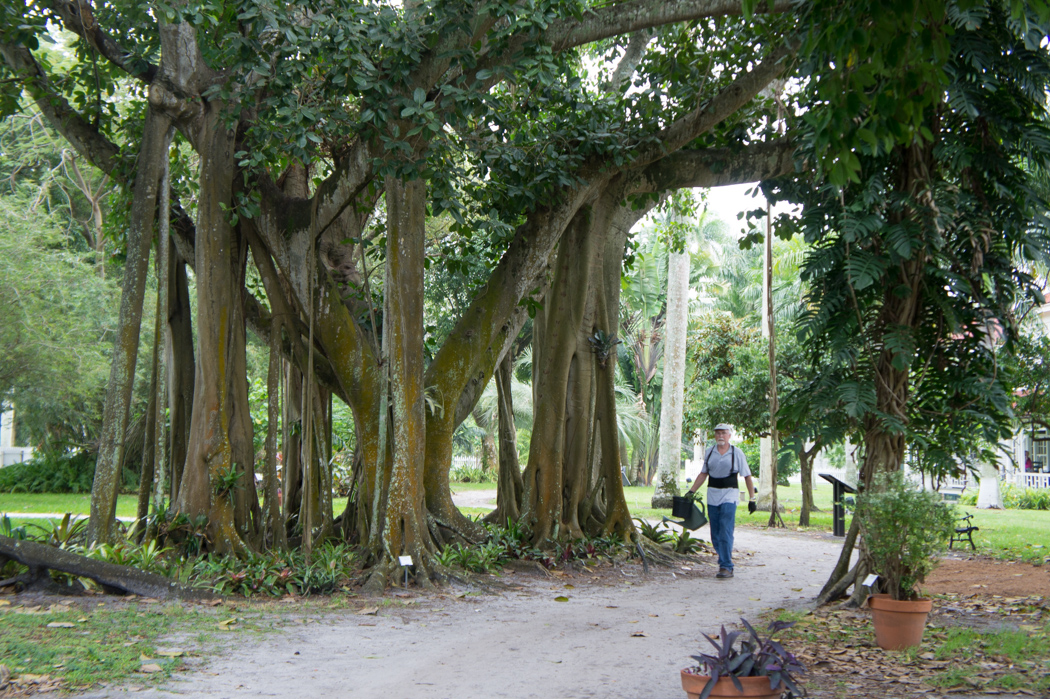 Jardin des maisons d'hiver de Ford et Edison - Fort Myers, Floride