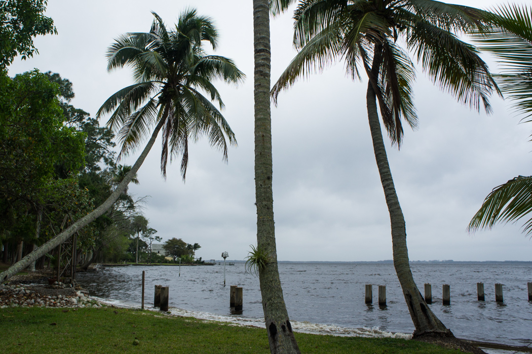 Le bord de la rivière - Caloosahatchee River - Fort Myer