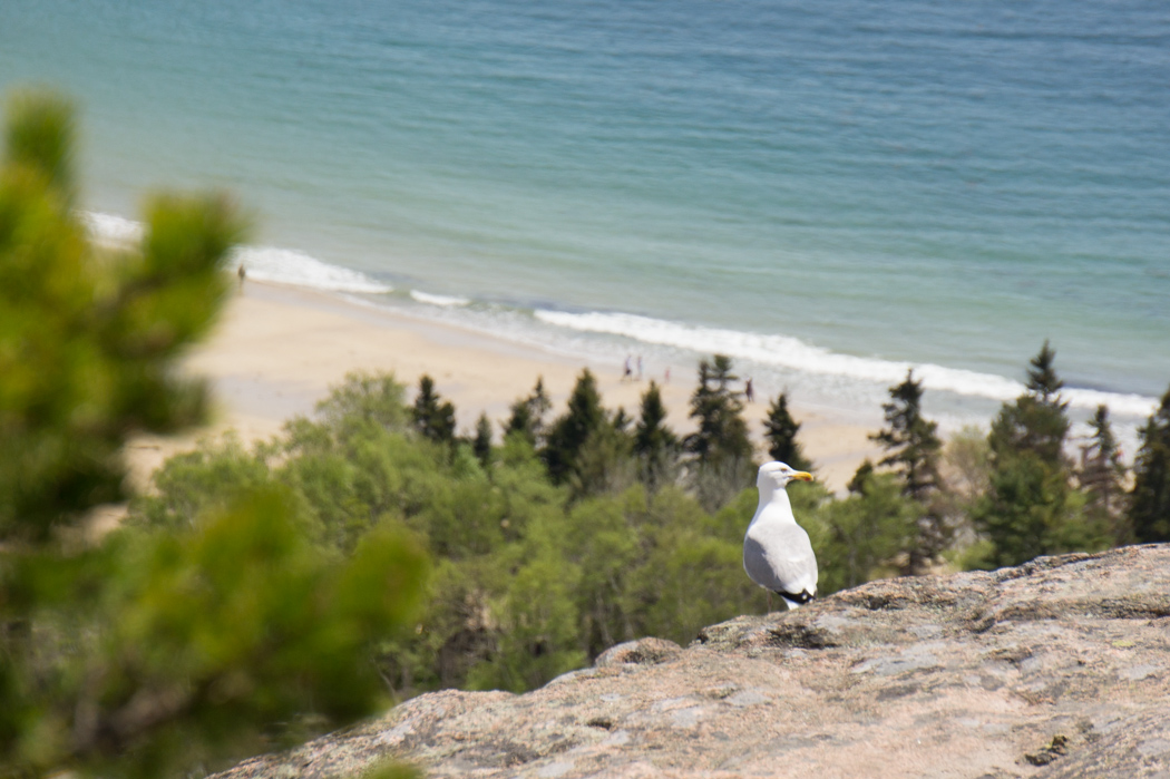 Beehive - Acadia National Park 4