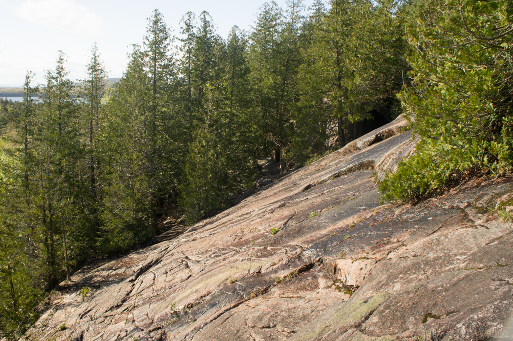 Cadillac Mountain - West Side - Acadia National Park