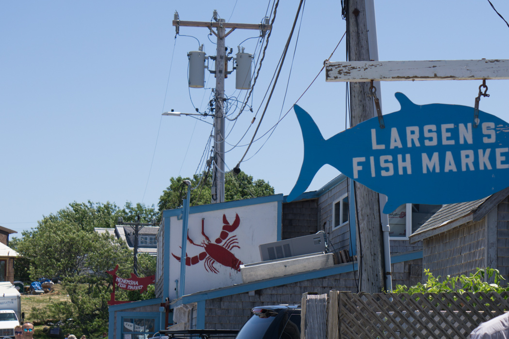 Larsen Fish Market Menemsha Martha's Vineyard