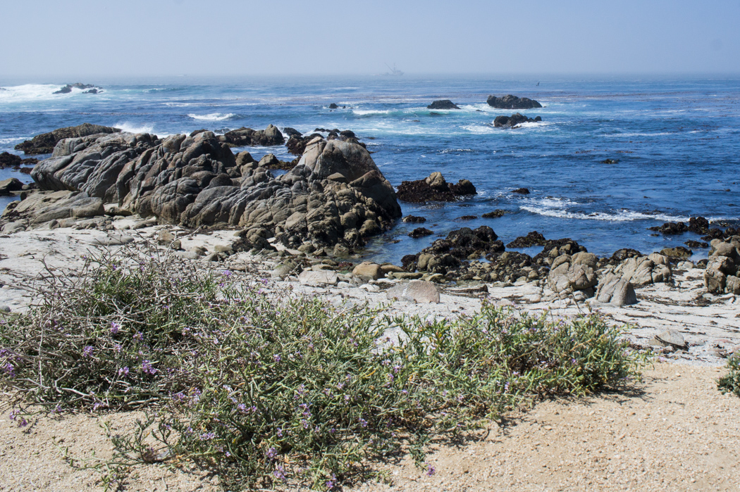 17 mile drive Monterey Carmel Californie