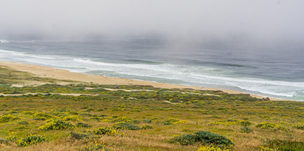 Big sur Californie Route 1 road trip le brouillard