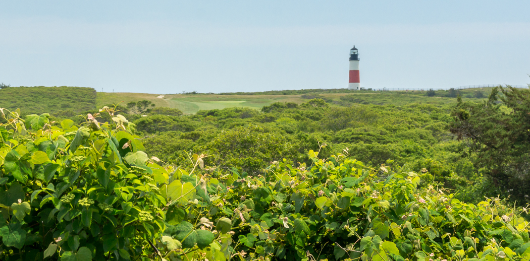 Phare Nantucket