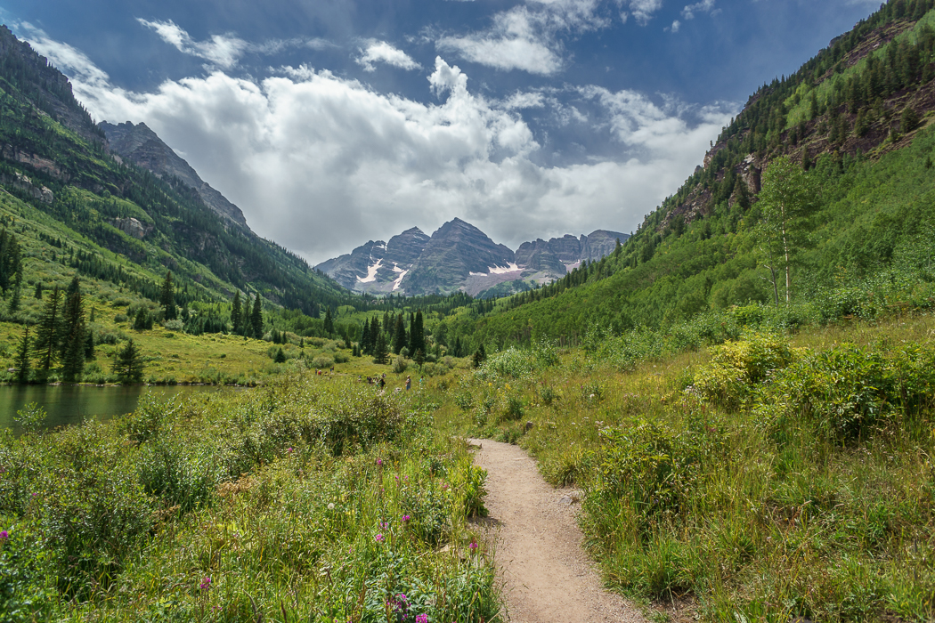 aspen Maroon Bells Colorado 1 prairie et fleurs de montagne petit chemin