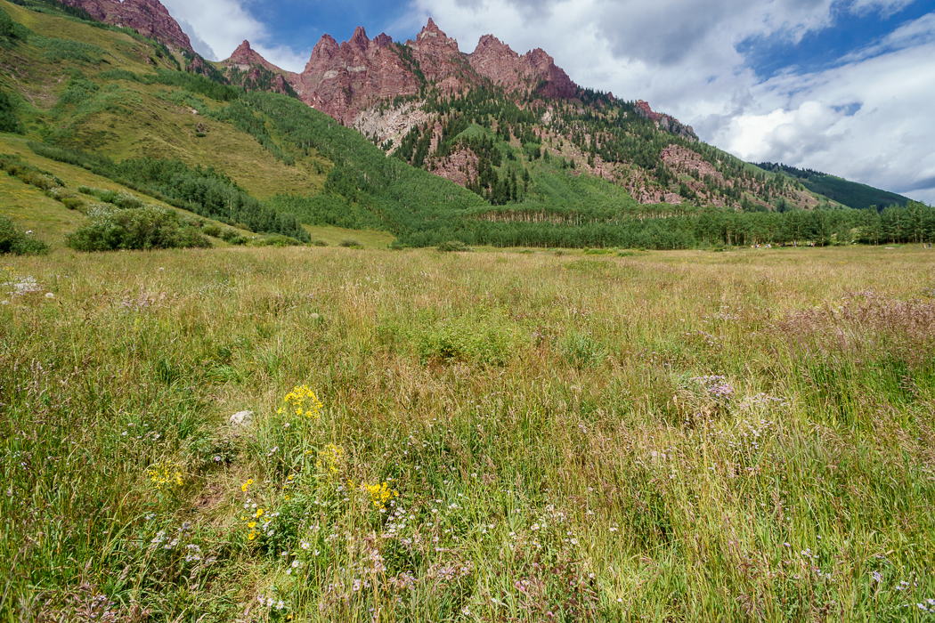 aspen Maroon Bells Colorado 1 prairie et fleurs de montagne