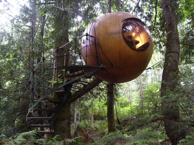 cabane dans les arbres
