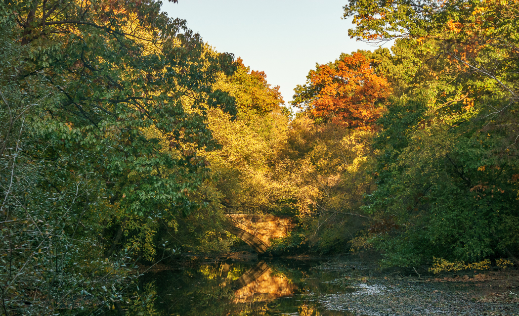 jamaica pond arboretum boston