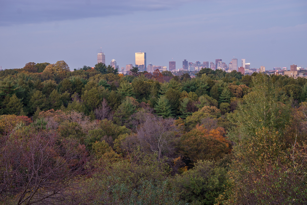 Vue sur Boston de nuit