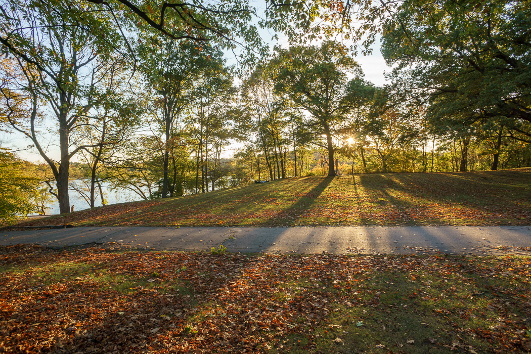 jamaica pond arboretum coucher de soleil