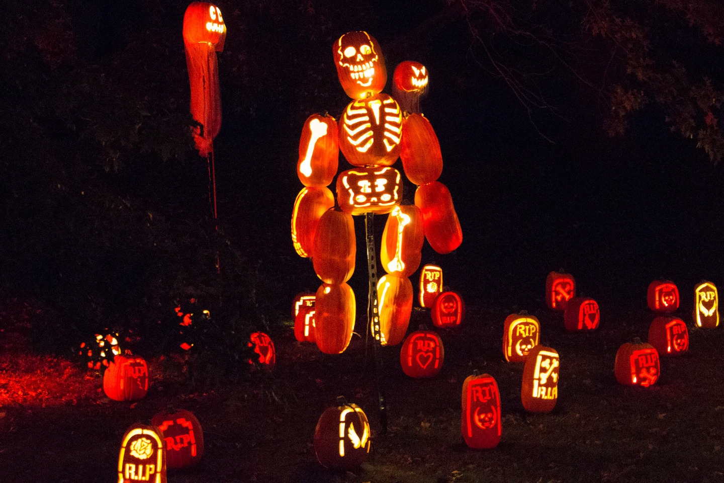 Rise Of The Jack OLanterns 2014 03