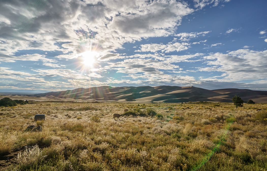 Great Sand Dunes coucher de soleil